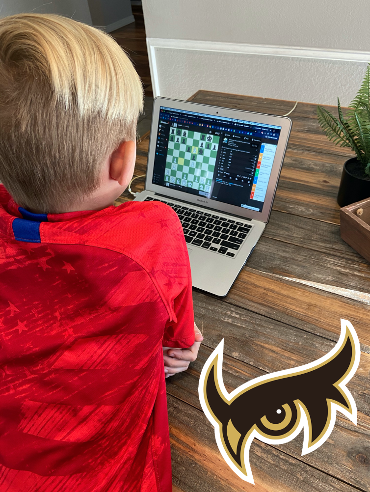 kid playing chess on computer